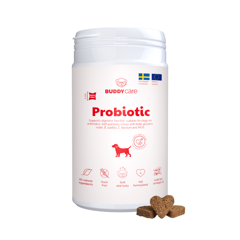 Probiotics for Dogs