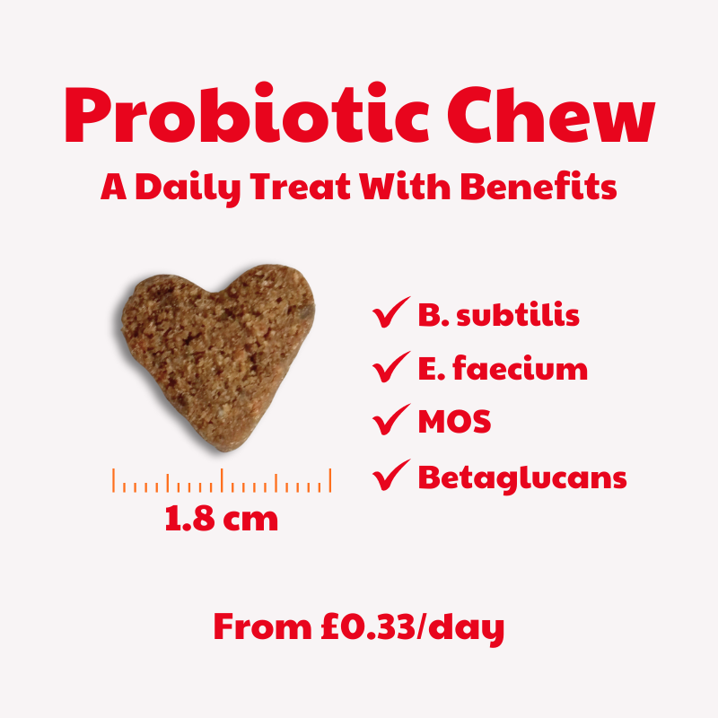 Probiotics for Dogs