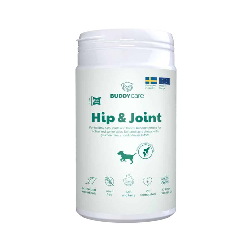 Hip & Joint